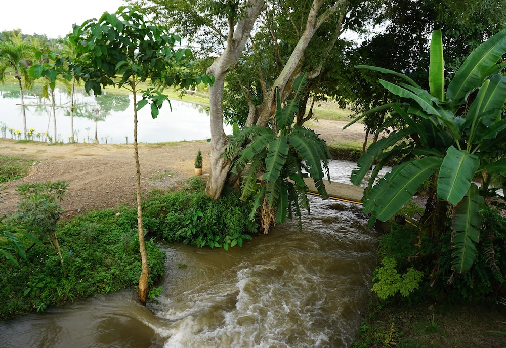Ban Suan Tawan Chiang Dao 33/50
