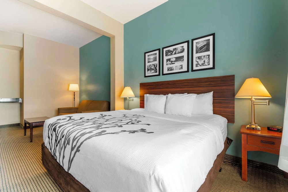 SUITE, KING BED, SOFA