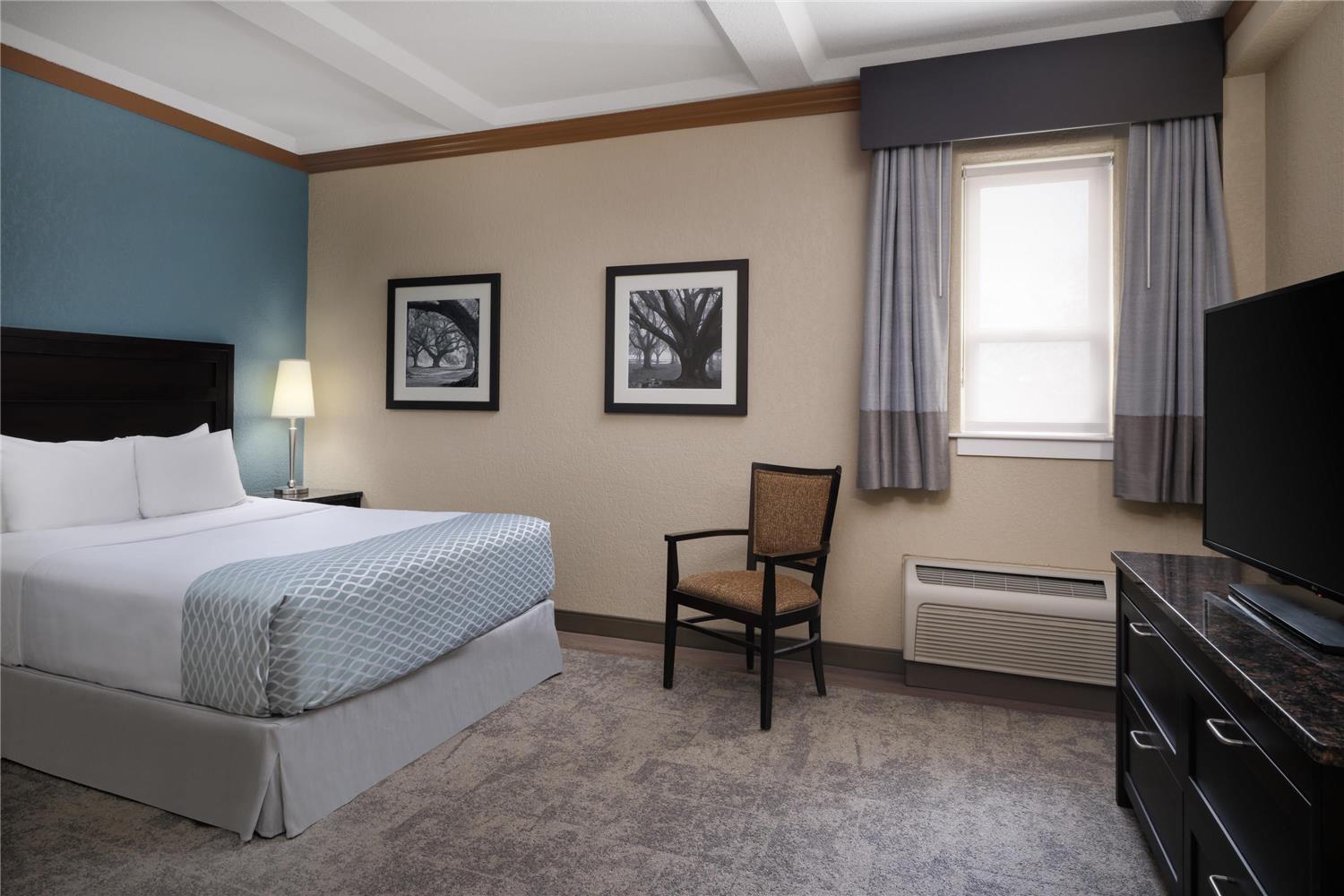 Suite, Queen Bed, Sofa, Accessible