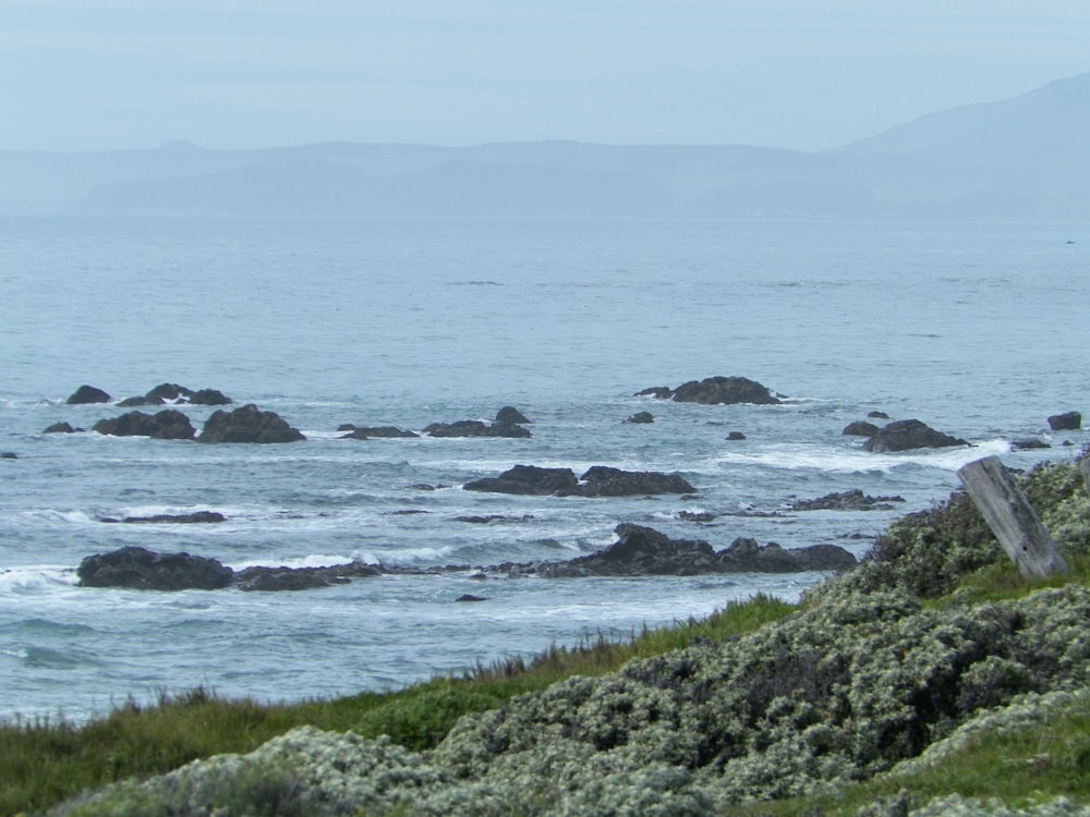 Sea Otter Inn 52/63