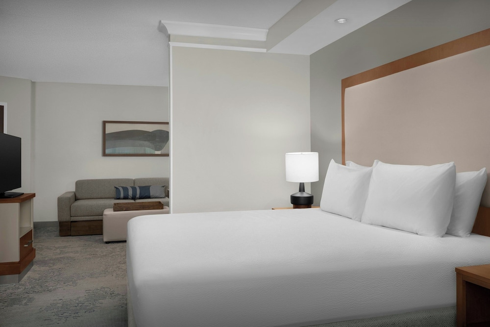 Suite, King Bed, Trundle Bed, Accessible
