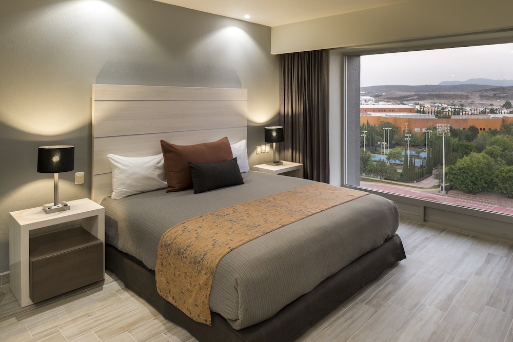 Real Inn San Luis Potosi 13/45