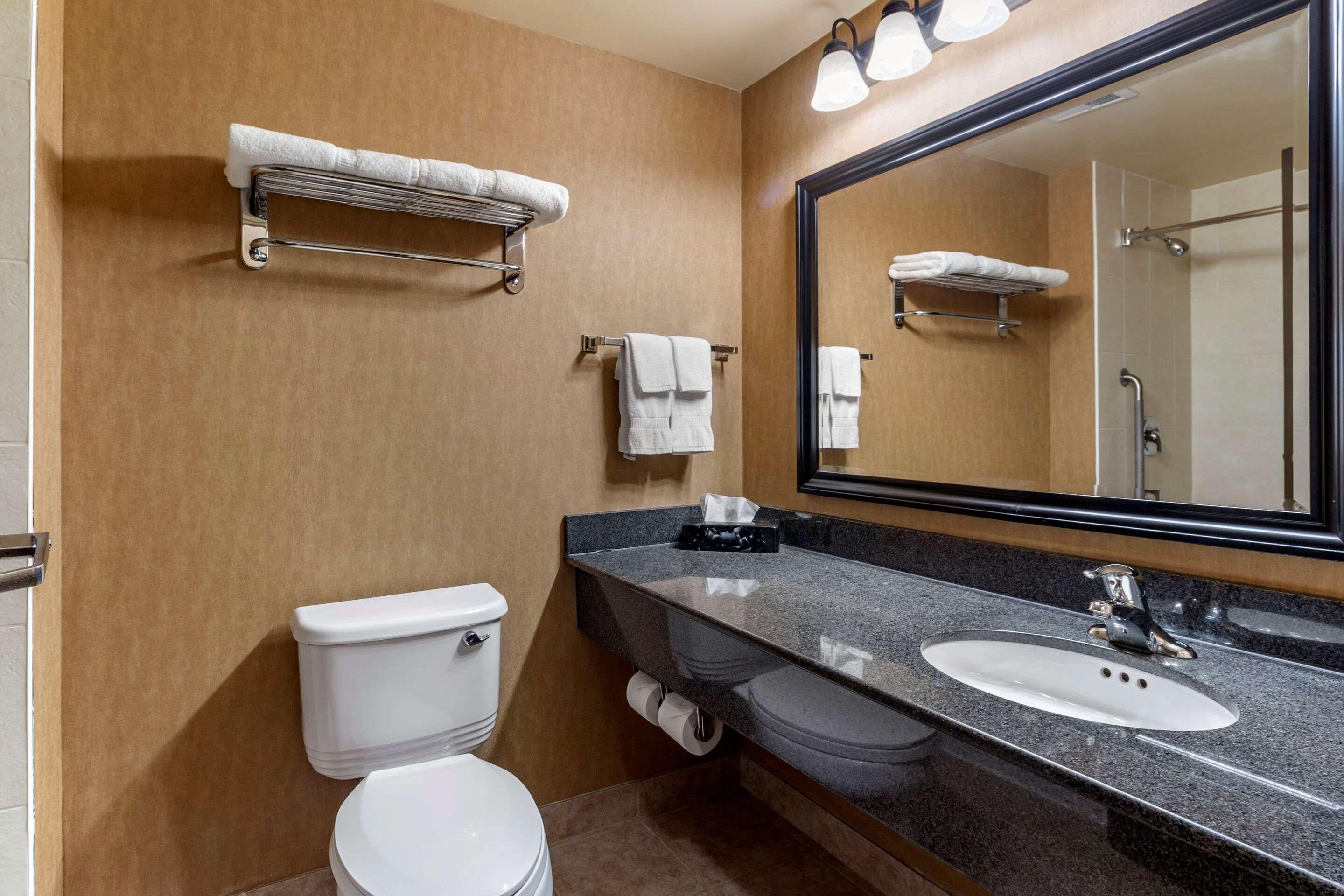 Upgrade, Suite, King Bed