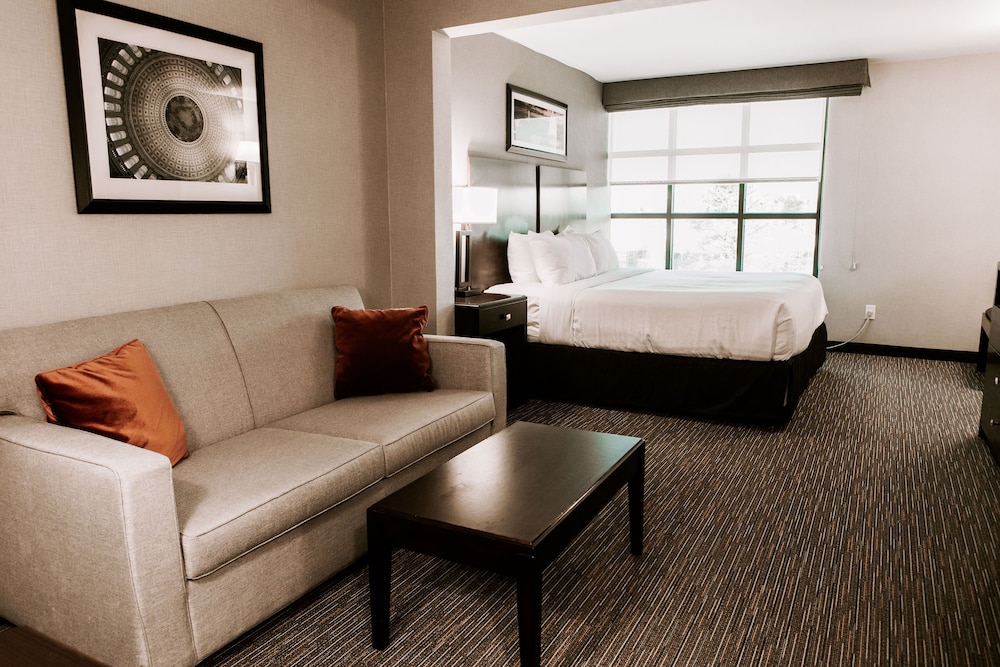 Wingate by Wyndham Chantilly / Dulles Airport 31/48
