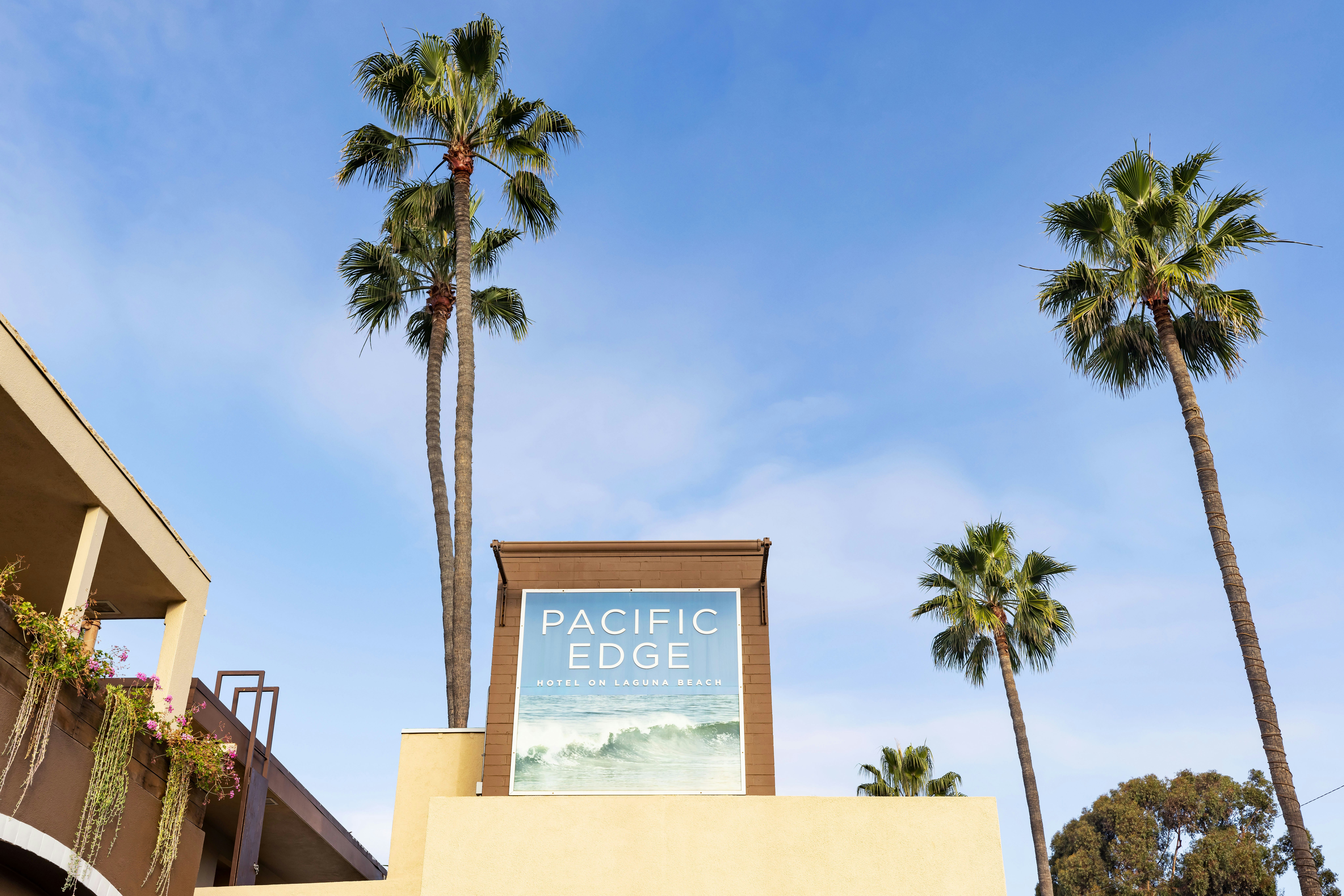 Pacific Edge Hotel On Laguna Beach 8/67