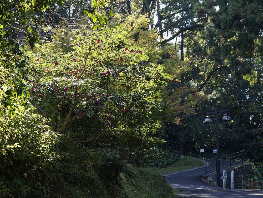 Apa Hotel Miyazaki Nobeoka Ekiminami 60/62