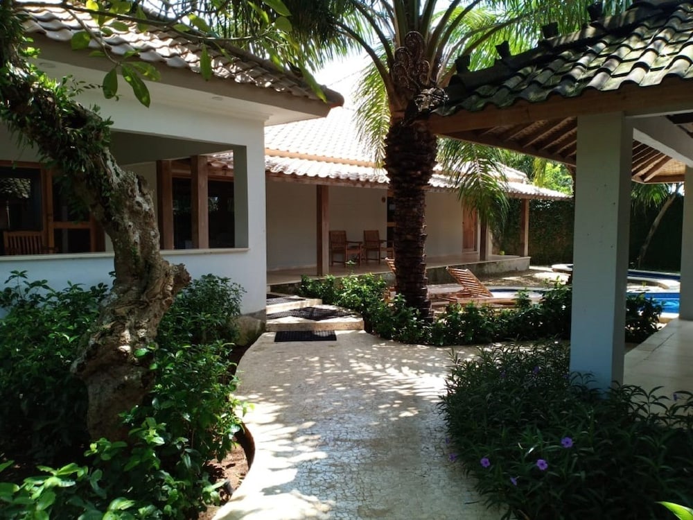 Coconut Lodge 34/50
