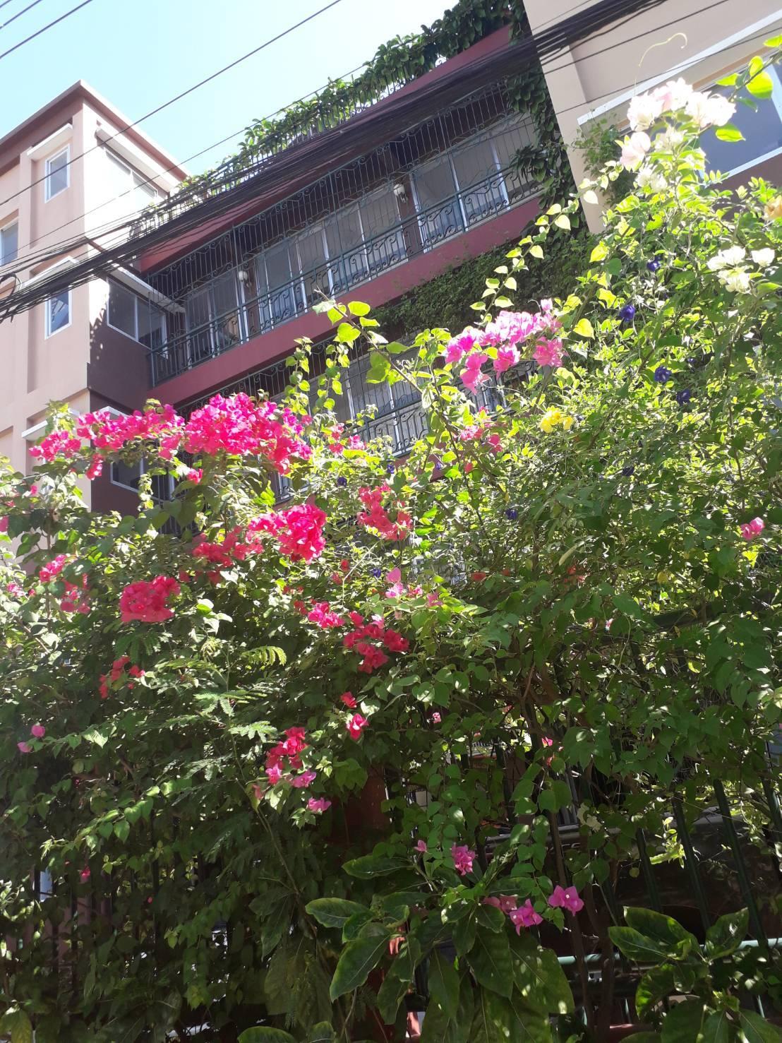 Baan Khun Mae Apartment 34/37