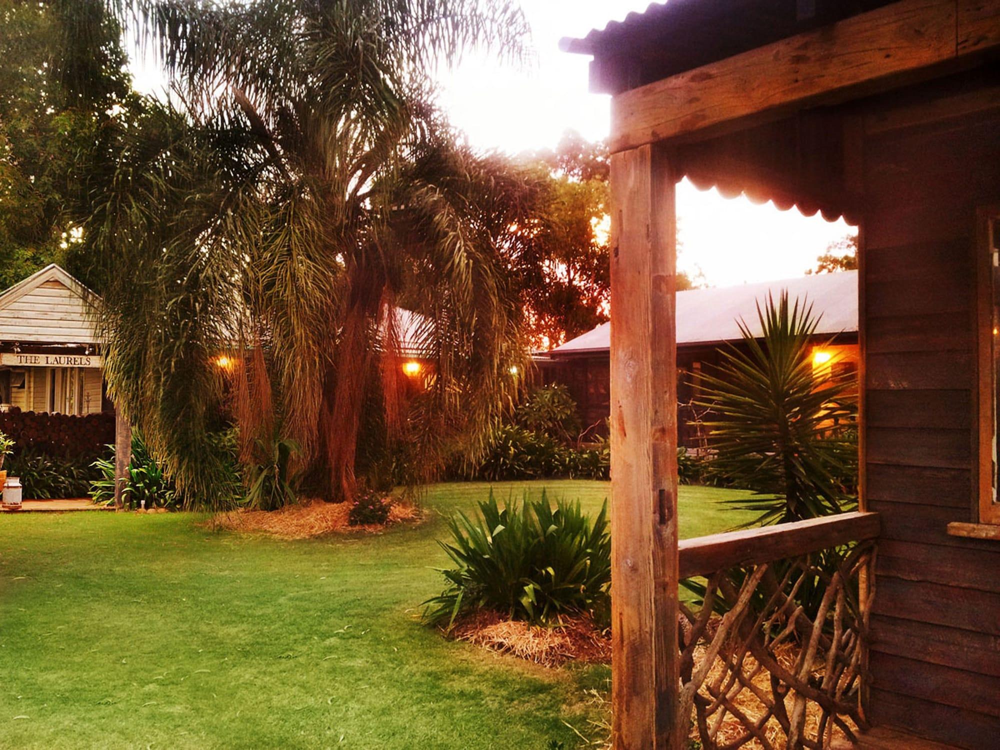 The Laurels Of Chinchilla 38/50