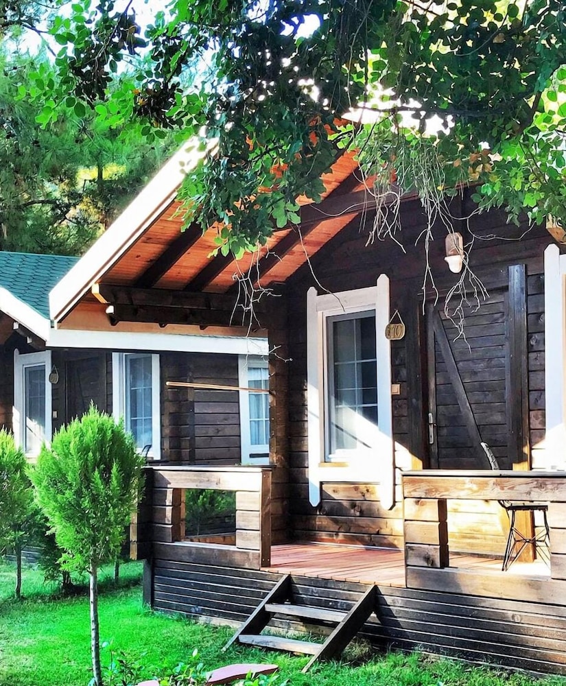 Green Pine Beach & Bungalows Luxury Concept 44/50