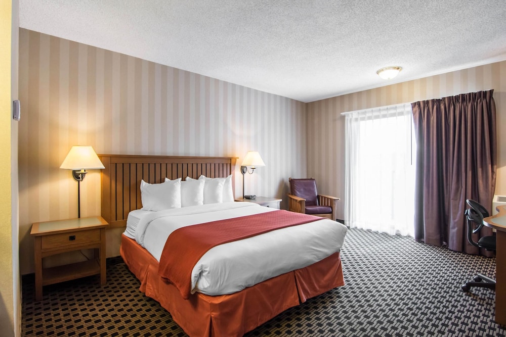 Quality Hotel Drumheller 13/40