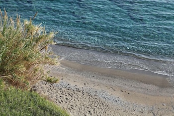 Elenas Beach Garden 10/16