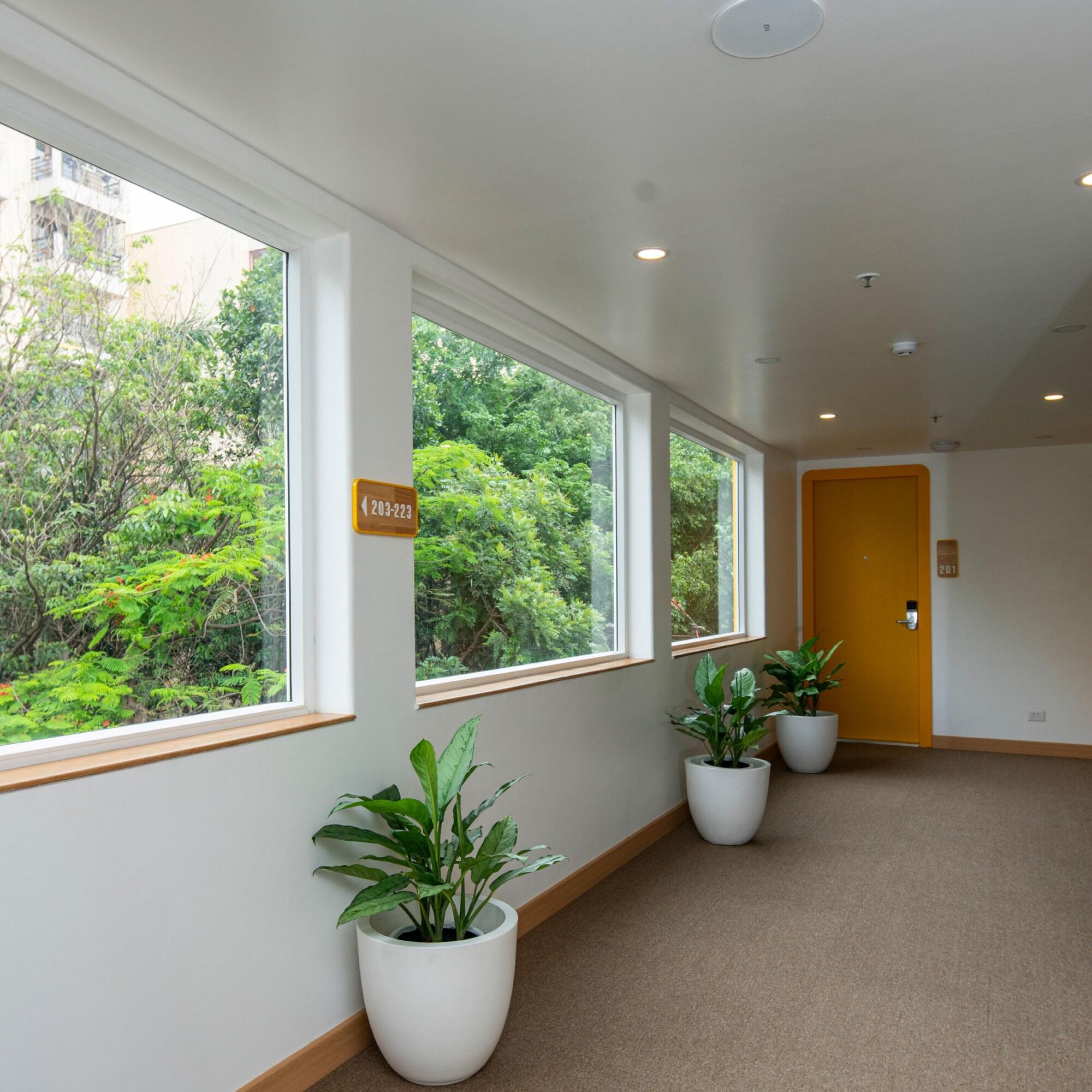 Bloom Hotel Brookefield 8/34