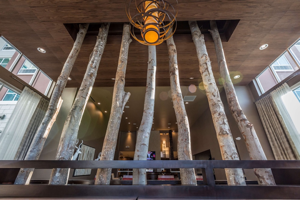 Homewood Suites by Hilton Charlotte Ballantyne, NC in CHARLOTTE - NC
