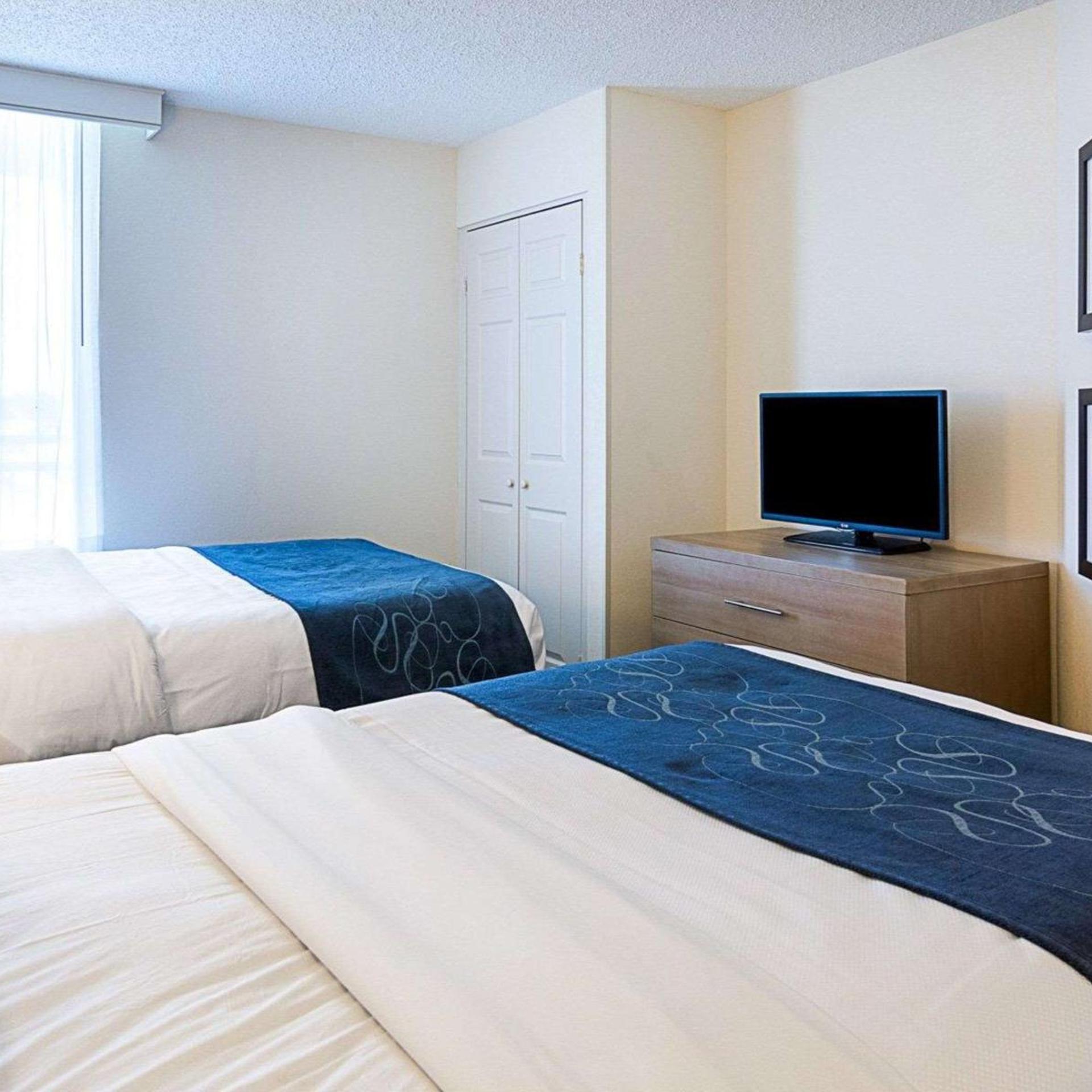 Suite, Double Bed, Ocean Front, Accessible
