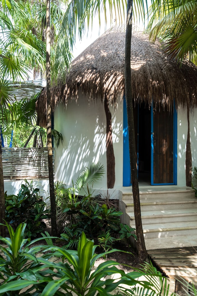 Cormoran Hotel Boutique & Cenote 34/48