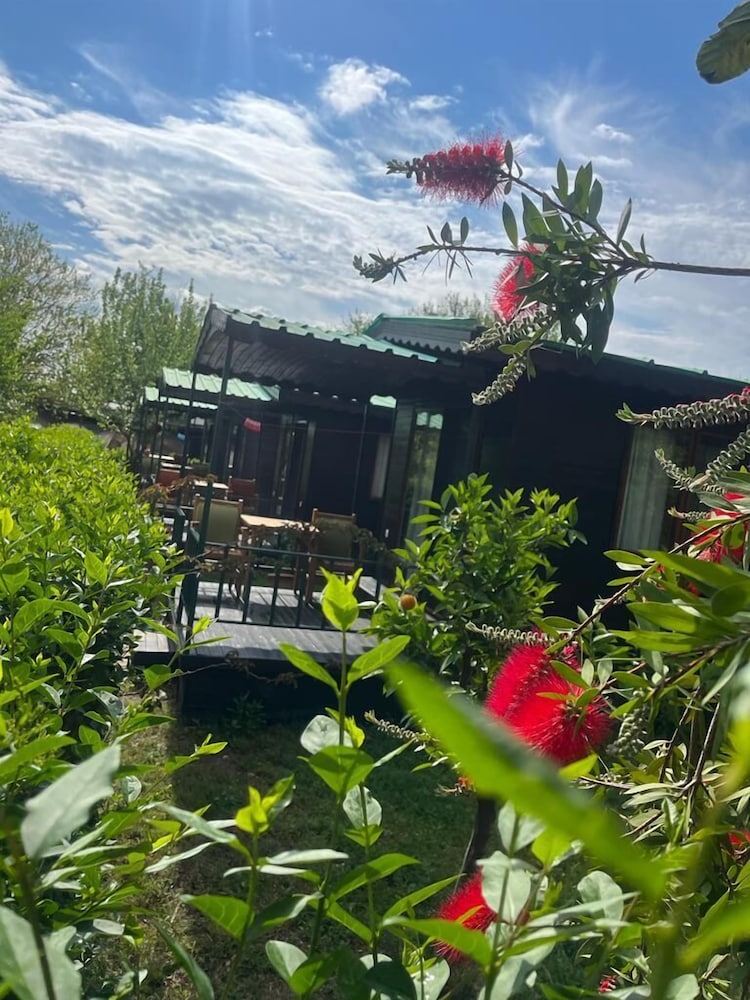 Olympos Yavuz Hotel photo3