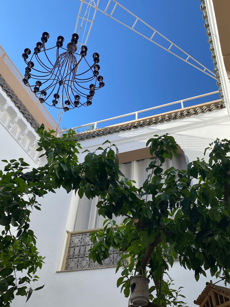 Riad Les Orangers D'Alilia 6/55