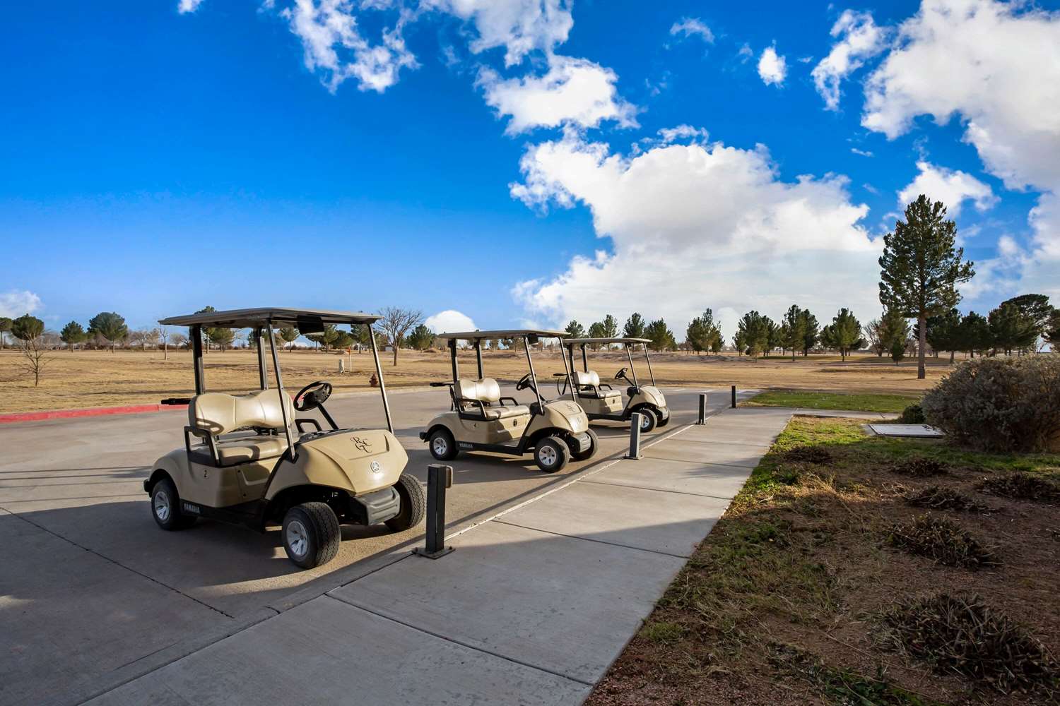 La Quinta Inn & Suites by Wyndham Pecos 44/62