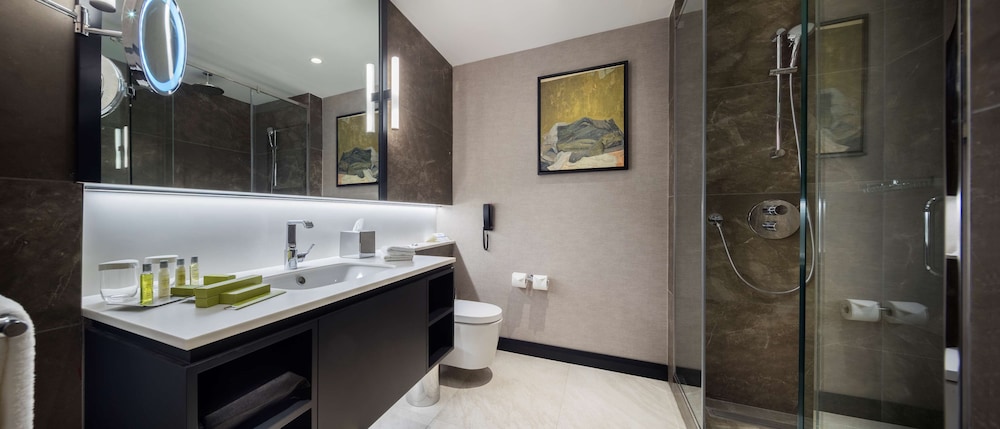 Hilton Istanbul Maslak 28/82