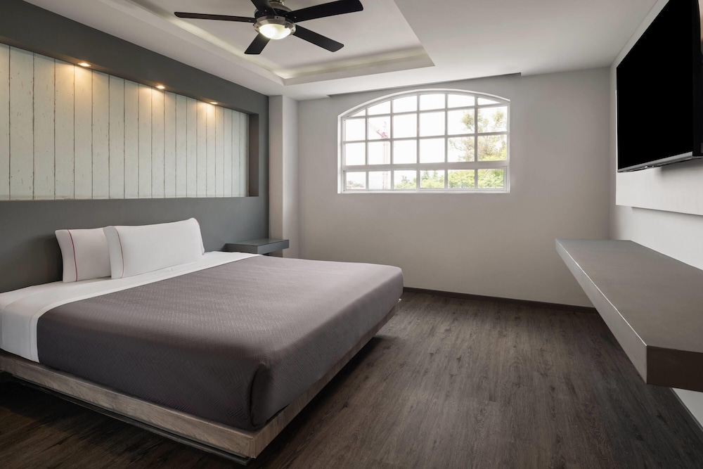 Hotel MX congreso CDMX, Trademark Collection by Wyndham 14/48