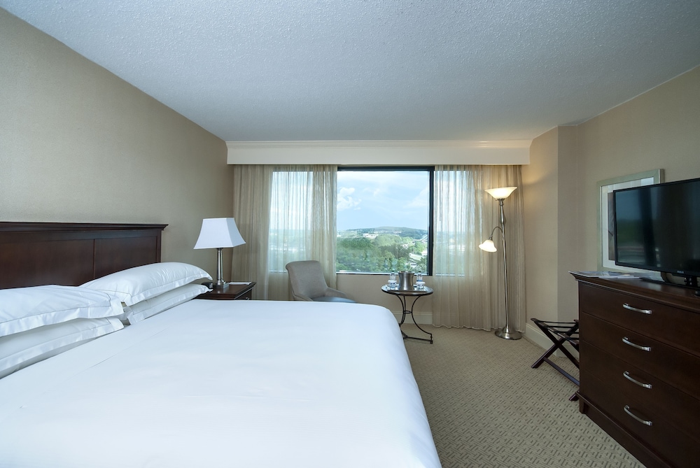Hilton Greenville Hotel 15/69