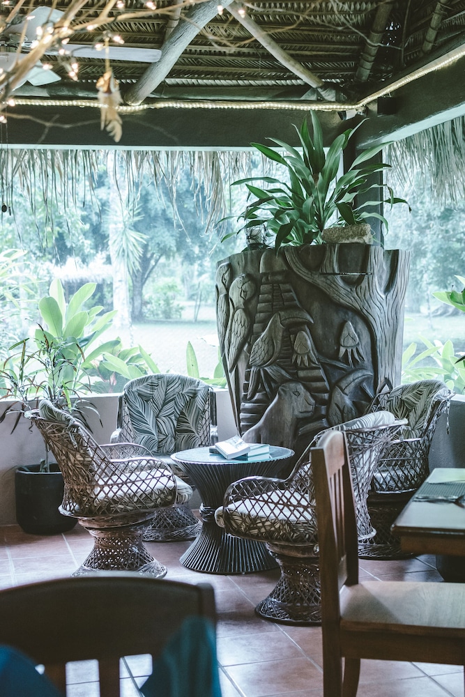 Bocawina Rainforest Resort Adventures 22/50