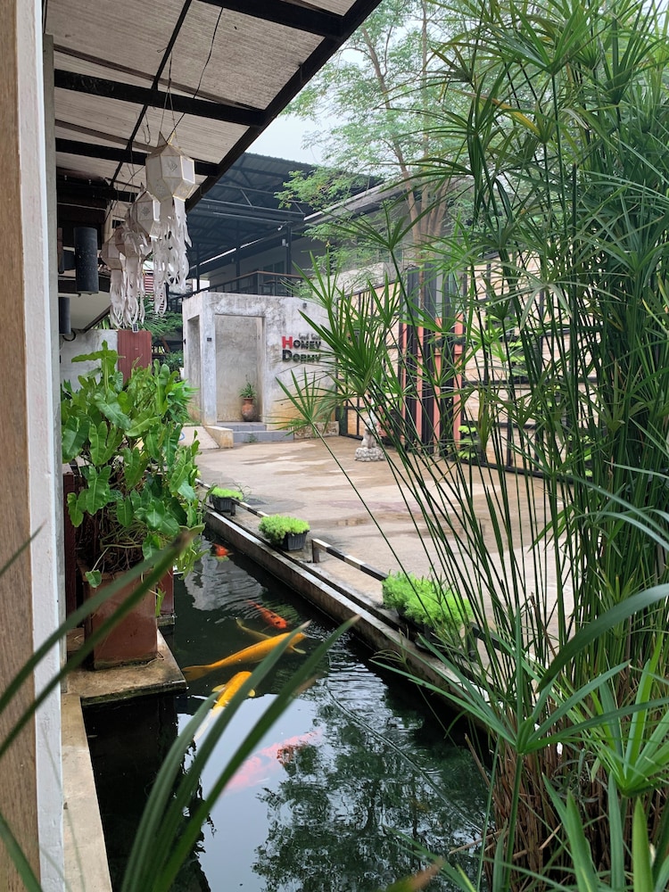 HOMEY DORMY CHIANGRAI 36/43