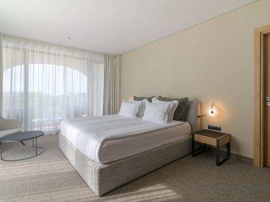 1 Bedroom, Suite, King Bed, Sofa