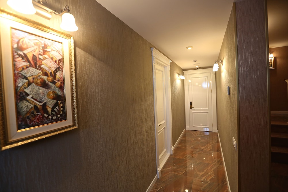 Old街精品酒店Baku(Old Street Boutique Hotel Baku) 图片3