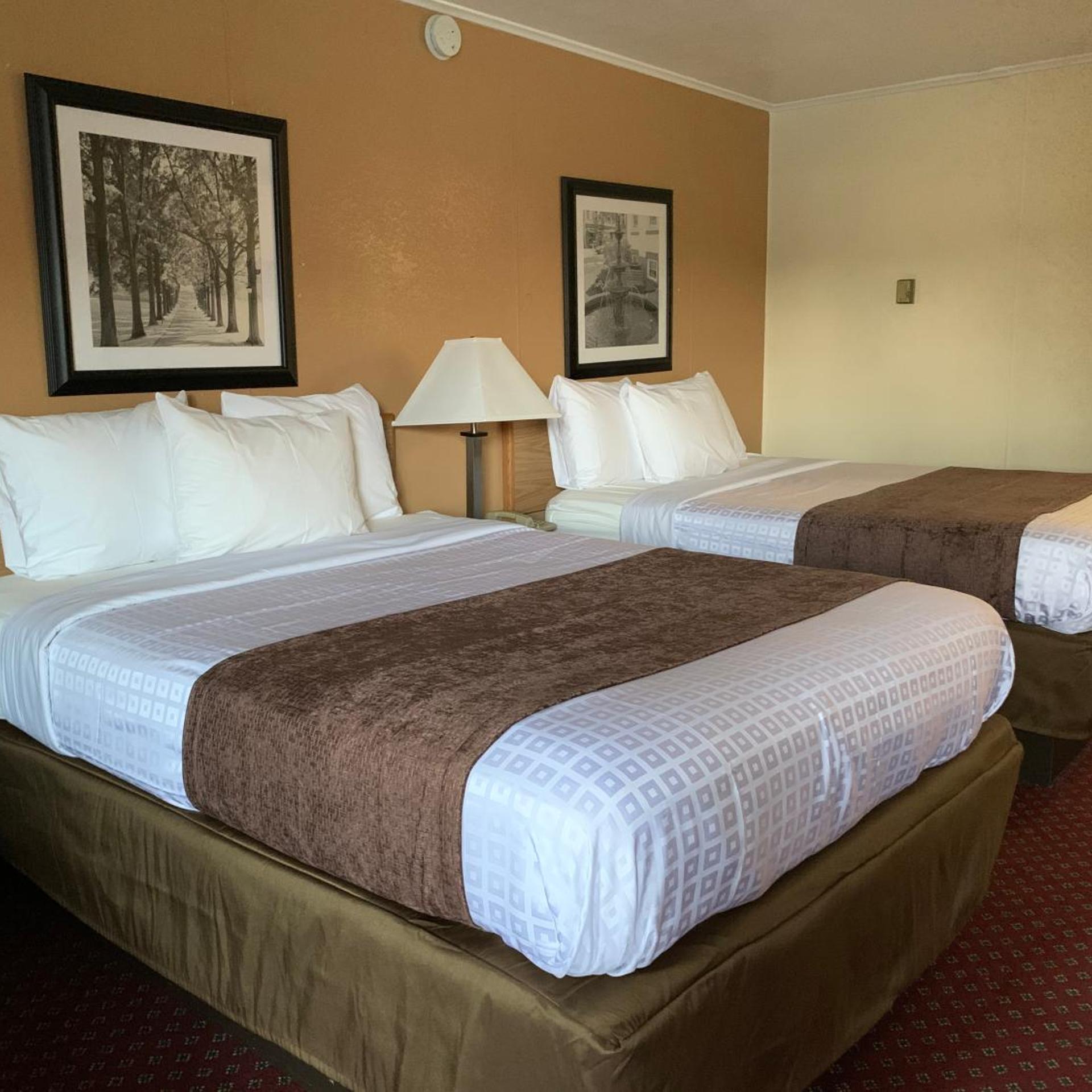 Red Carpet Inn & Suites 16/50