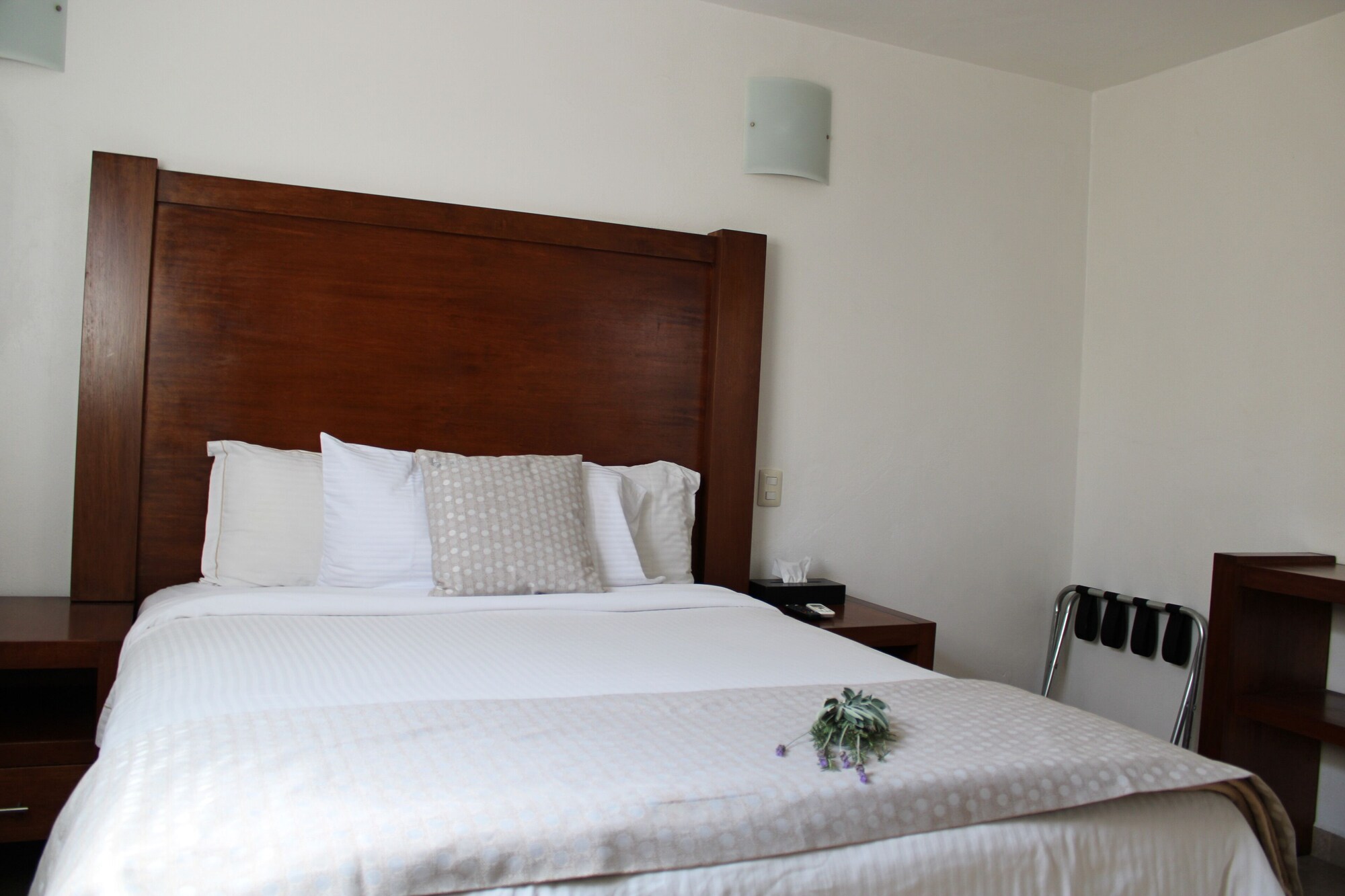 PREMIUM, STUDIO, SUITE
