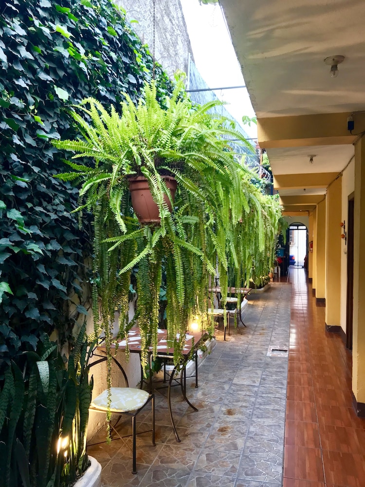 Hostal Antigua - Hostel 3/62
