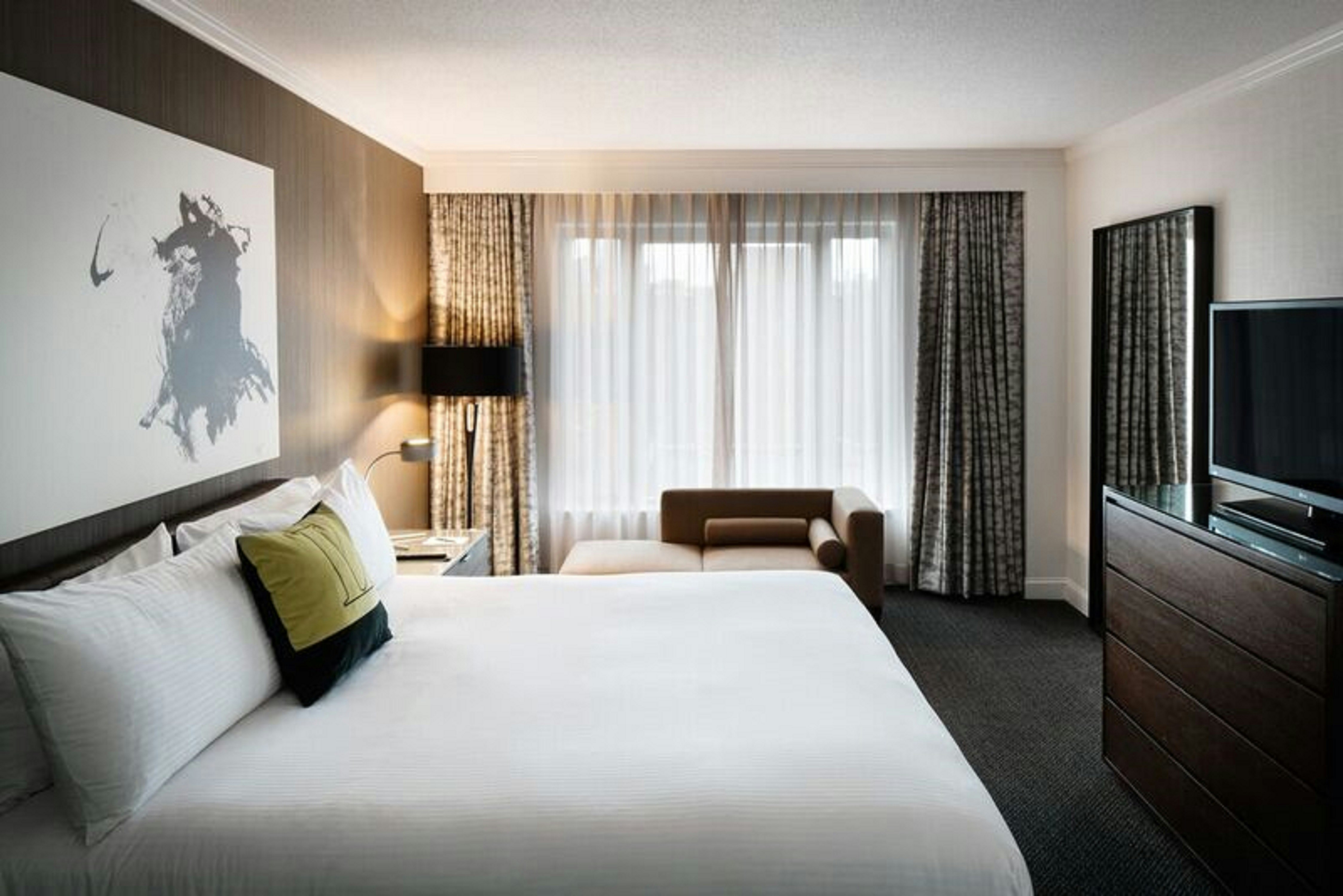 Commonwealth, Suite, King Bed