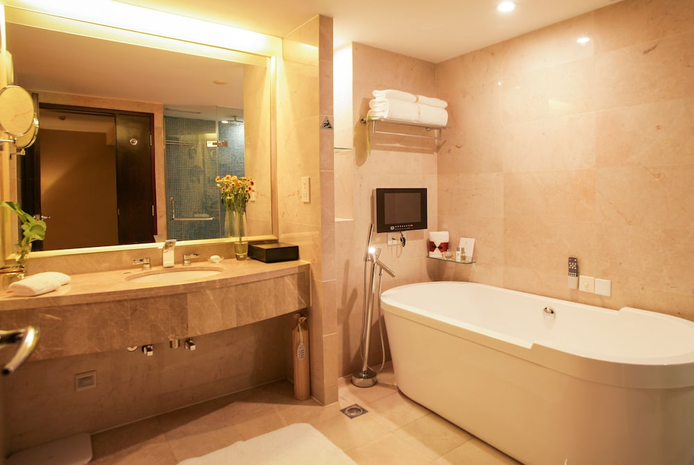 Poly Hotel Wuhan(Formely Poly White Rose Hotel) 23/31
