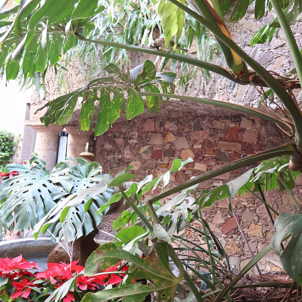 Hotel Los Arcos 57/65