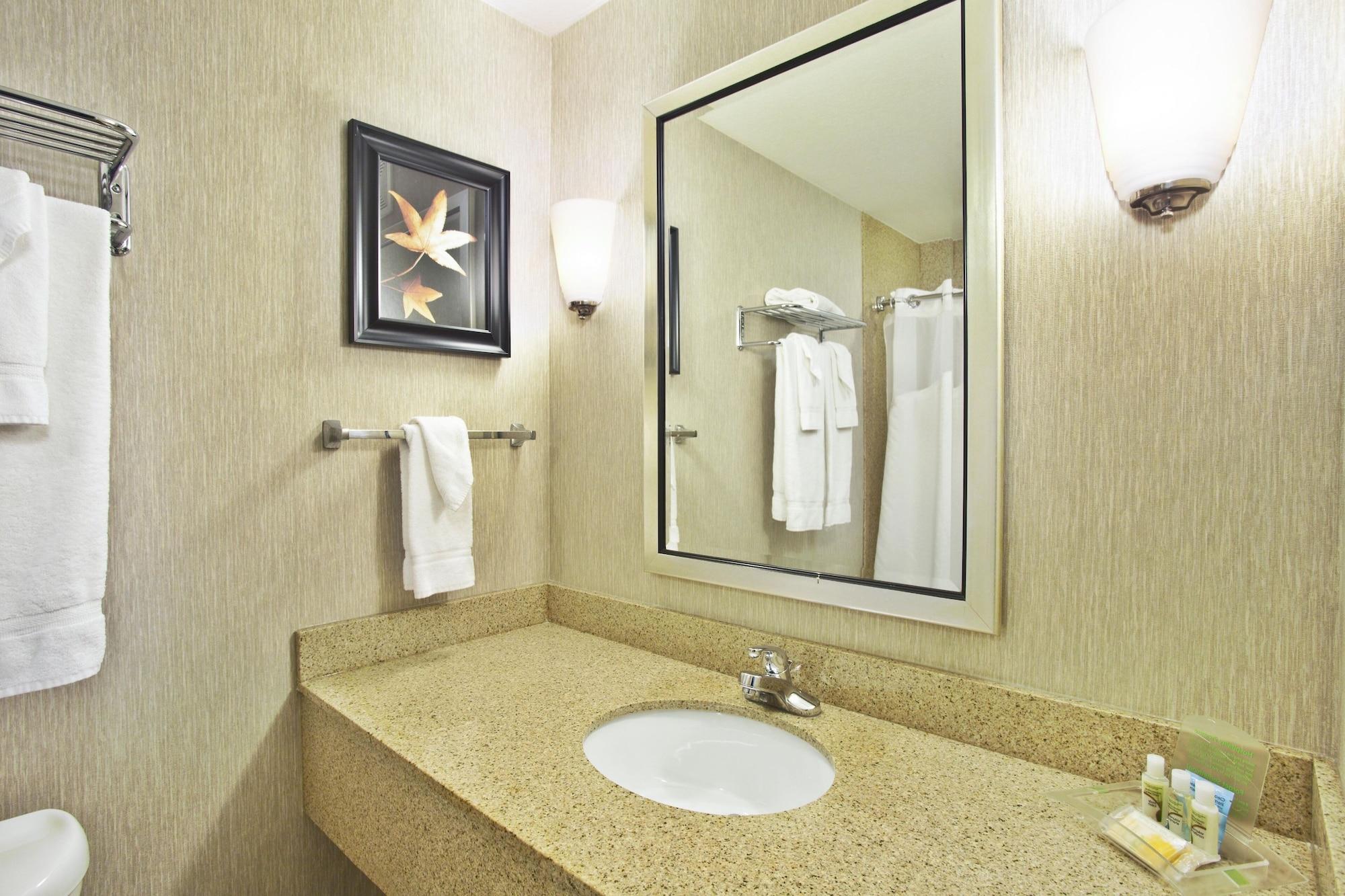 1 Bedroom, Suite