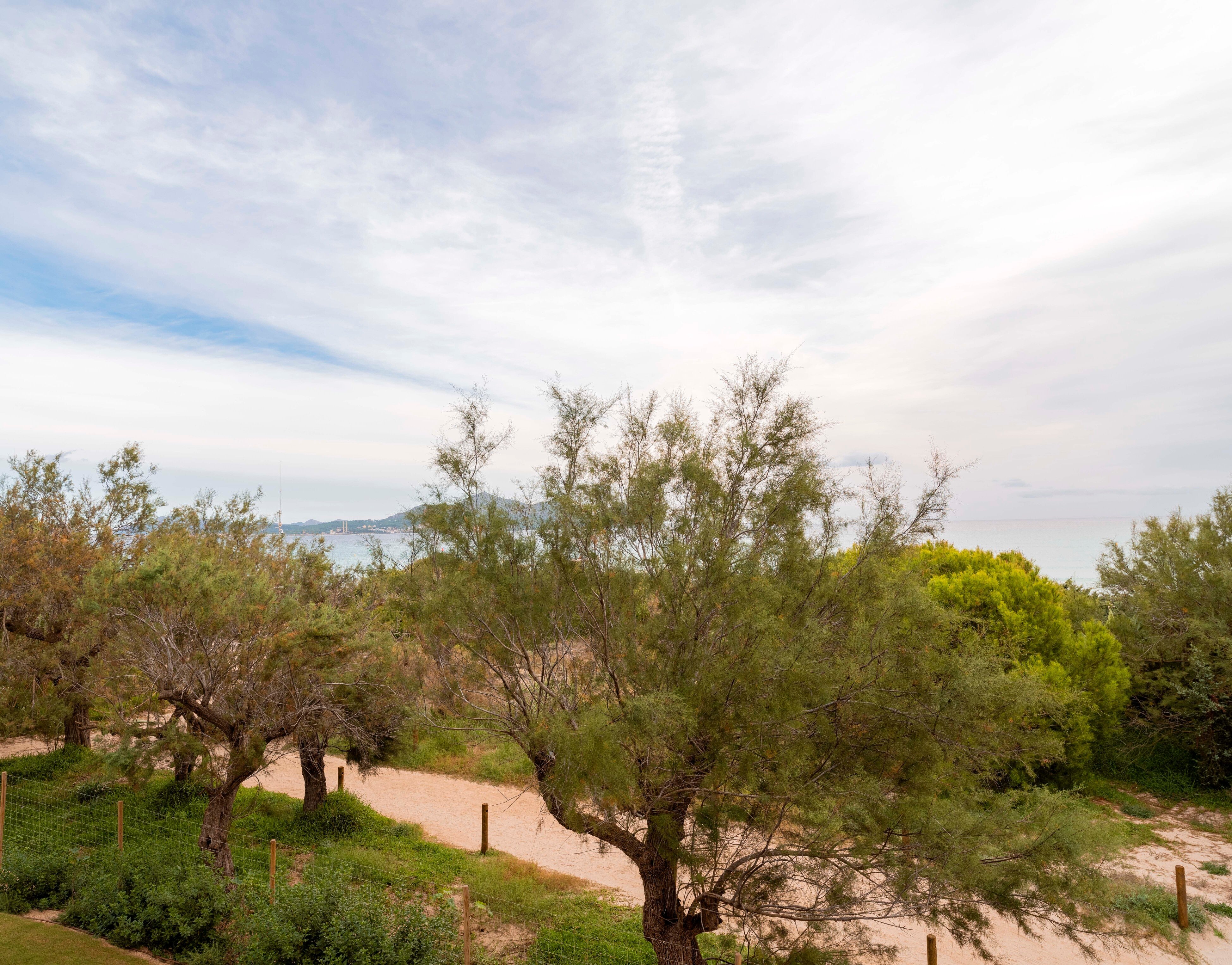 Iberostar Selection Albufera Park 78/81