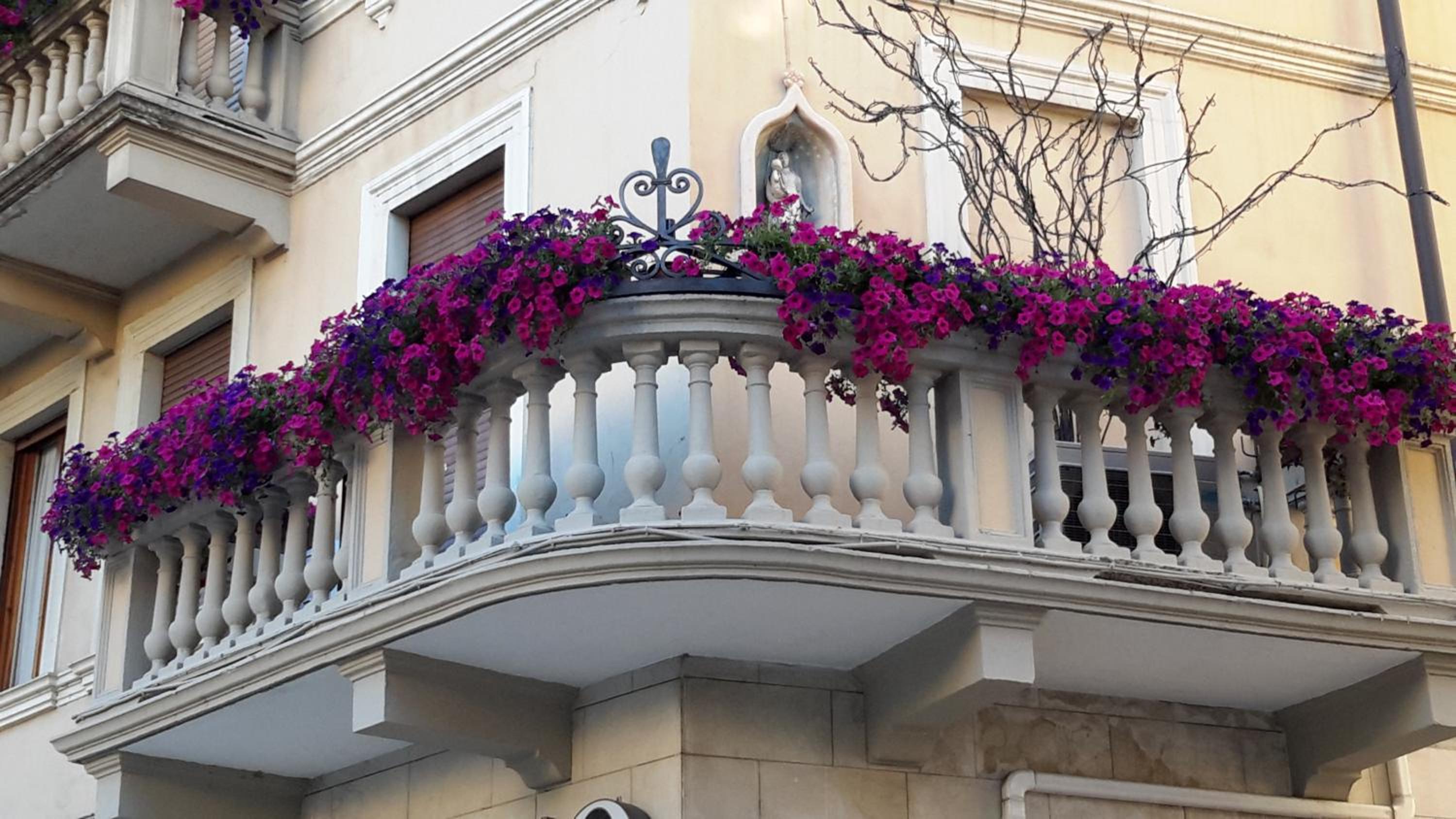 Albergo Trento 2/51