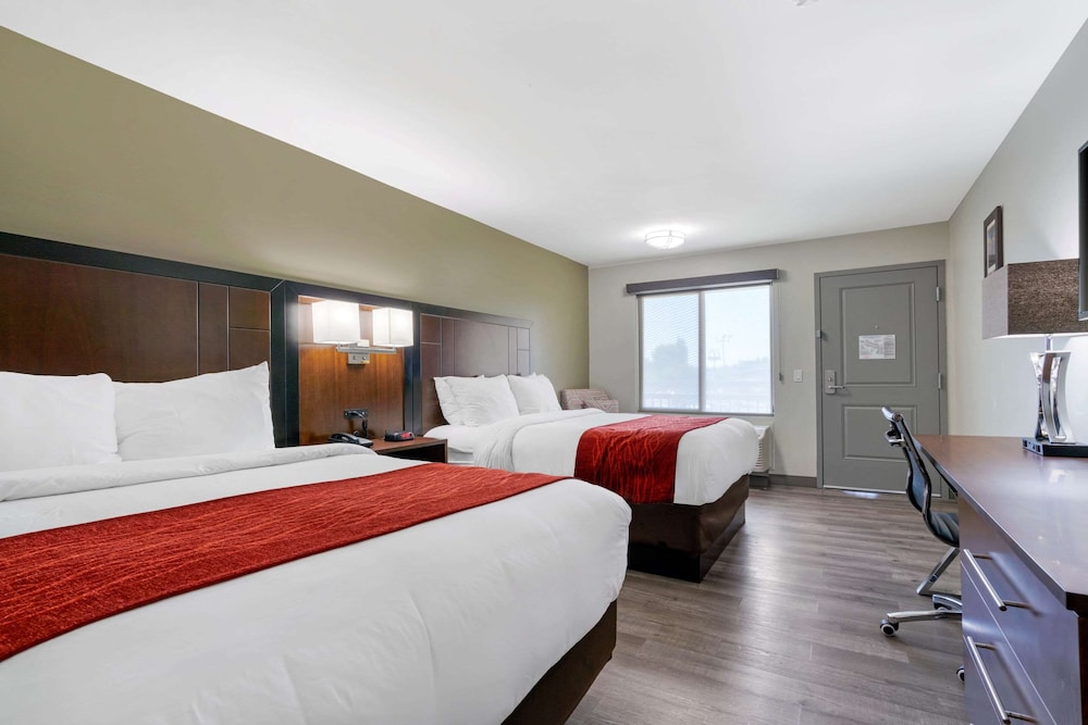 Standard, 2 Queen Beds