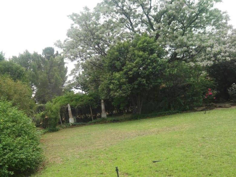 Green Gables Guesthouse 8/13