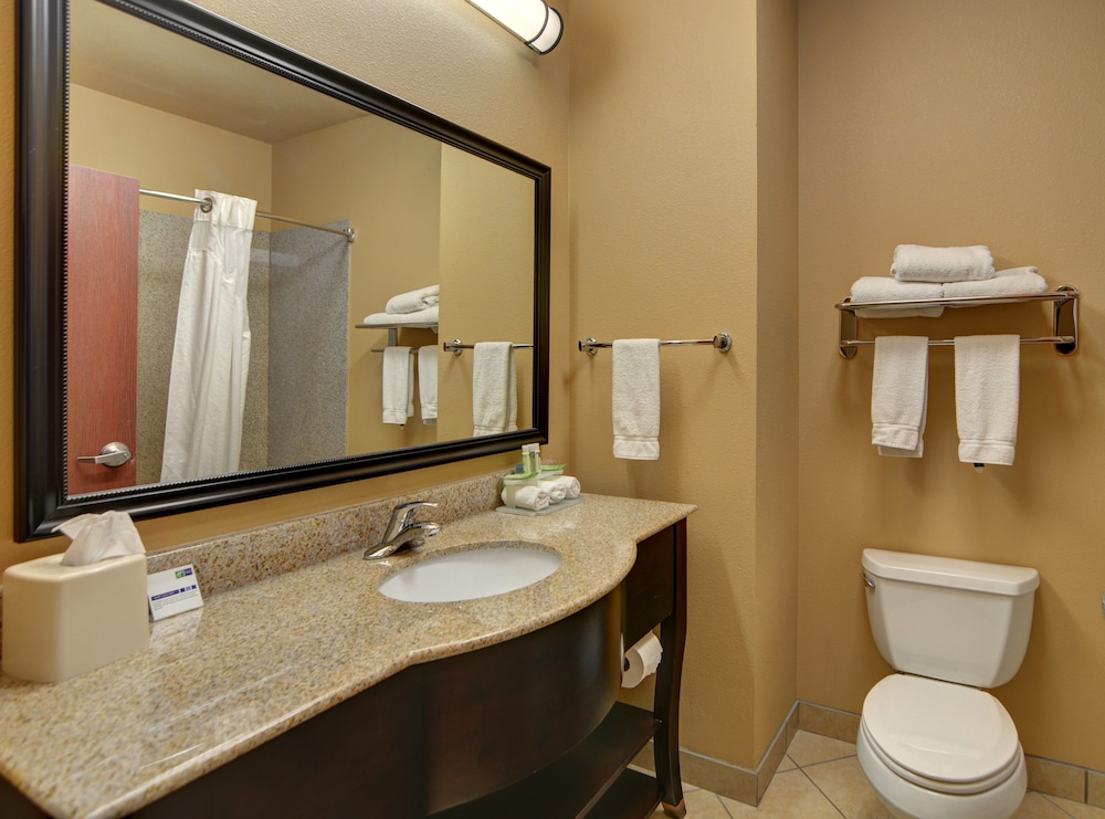 Holiday Inn Express Hotel And Suites Altus 18/69