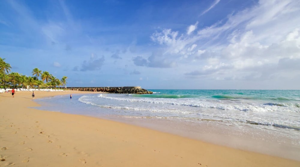 The Tryst Beachfront Hotel 37/50