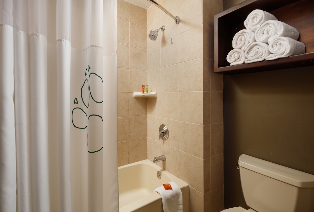 Great Wolf Lodge Grapevine 12/59