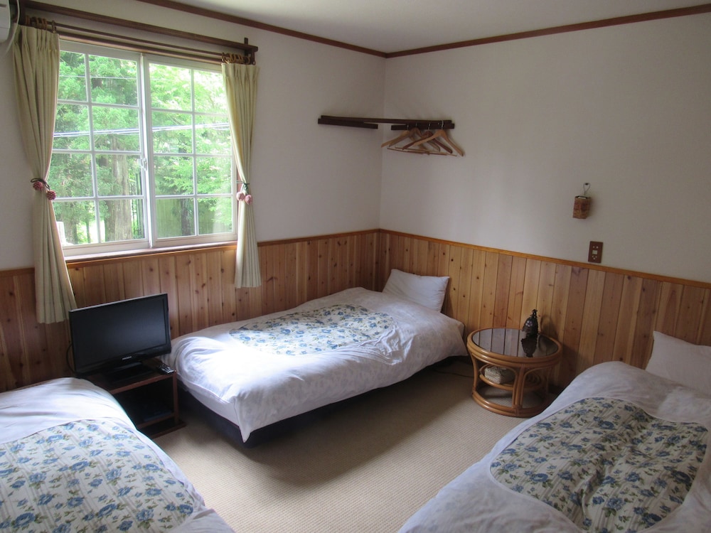 Pension Alps Hakuba 6/17
