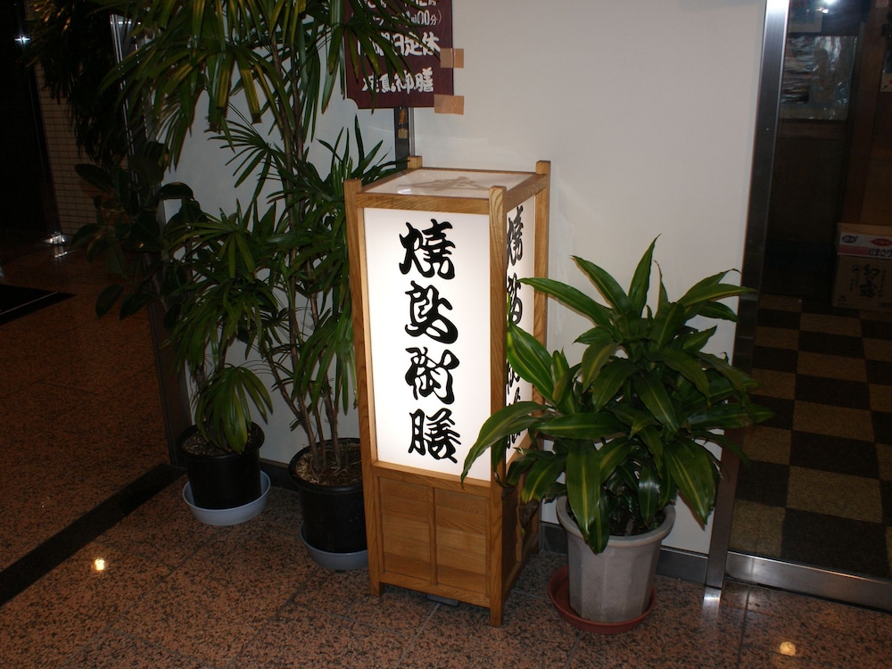 Hotel Livemax BUDGET Sagamihara 15/50