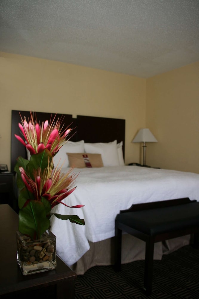 Hampton Inn & Suites Orlando-John Young Pkwy photo2