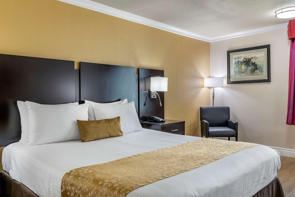 Best Western Plus South Bay Hotel 15/36