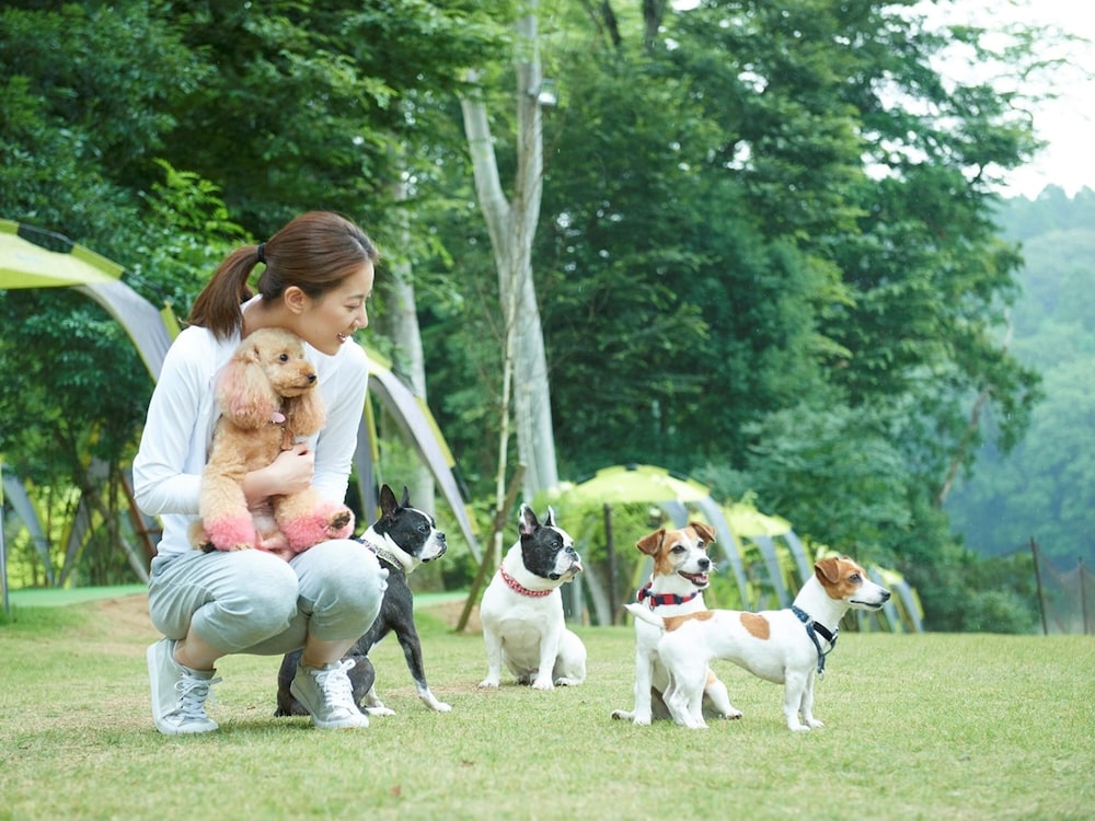 Koyaru-No-Sato Doggys Island 60/68