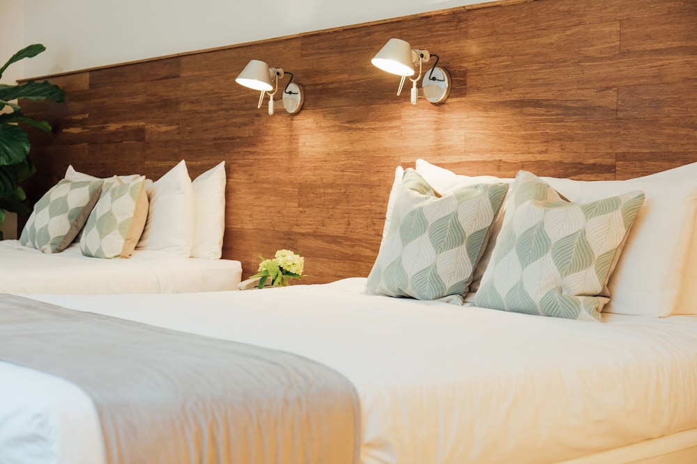 Riviere South Beach Hotel 30/66